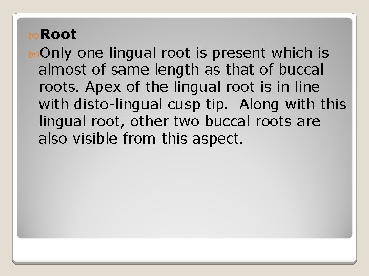  Root Only one lingual root is present which is almost of same length