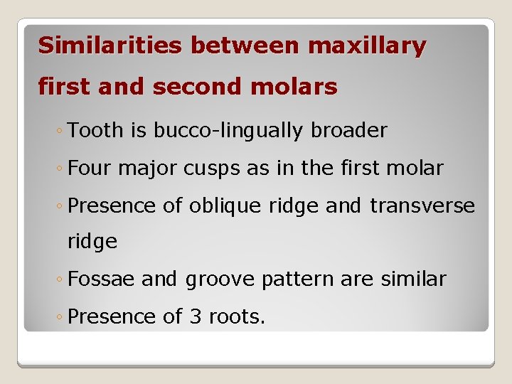 Similarities between maxillary first and second molars ◦ Tooth is bucco-lingually broader ◦ Four