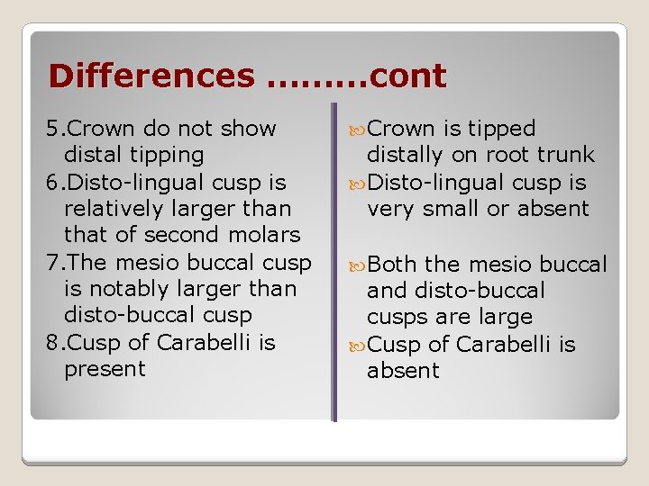 Differences ………cont 5. Crown do not show distal tipping 6. Disto-lingual cusp is relatively