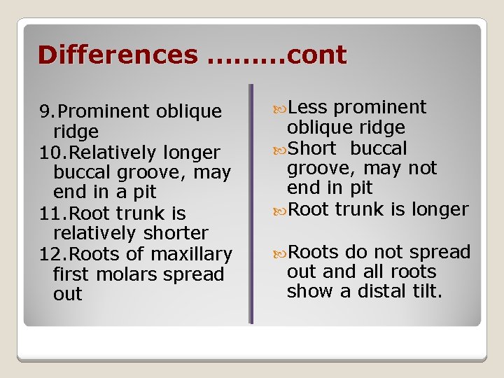 Differences ………cont 9. Prominent oblique ridge 10. Relatively longer buccal groove, may end in