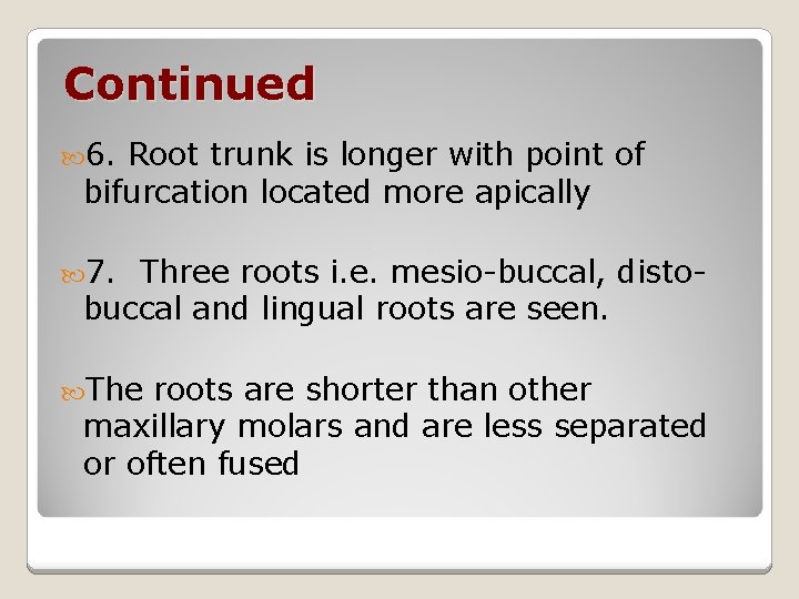 Continued 6. Root trunk is longer with point of bifurcation located more apically 7.