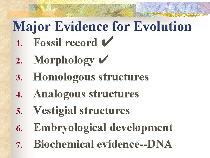 Major Evidence for Evolution 1. Fossil record ✔ 2. 3. 4. 5. 6. 7.