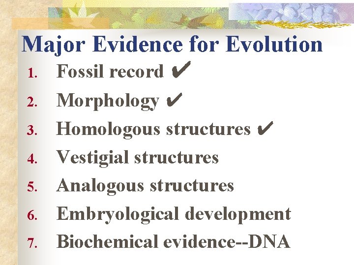Major Evidence for Evolution 1. Fossil record ✔ 2. 3. 4. 5. 6. 7.