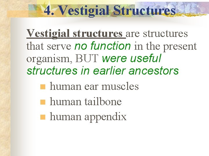 4. Vestigial Structures Vestigial structures are structures that serve no function in the present