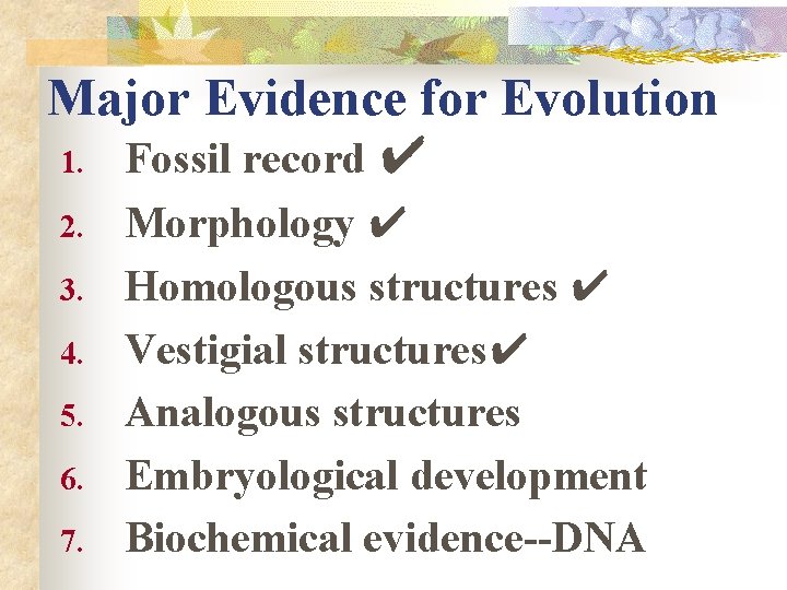 Major Evidence for Evolution 1. Fossil record ✔ 2. 3. 4. 5. 6. 7.