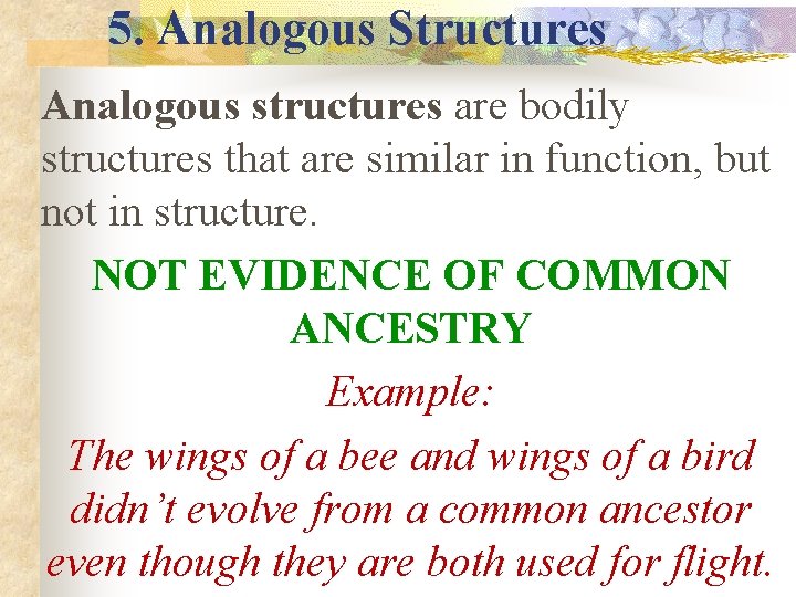 5. Analogous Structures Analogous structures are bodily structures that are similar in function, but