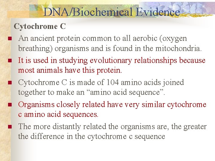 DNA/Biochemical Evidence Cytochrome C n An ancient protein common to all aerobic (oxygen breathing)