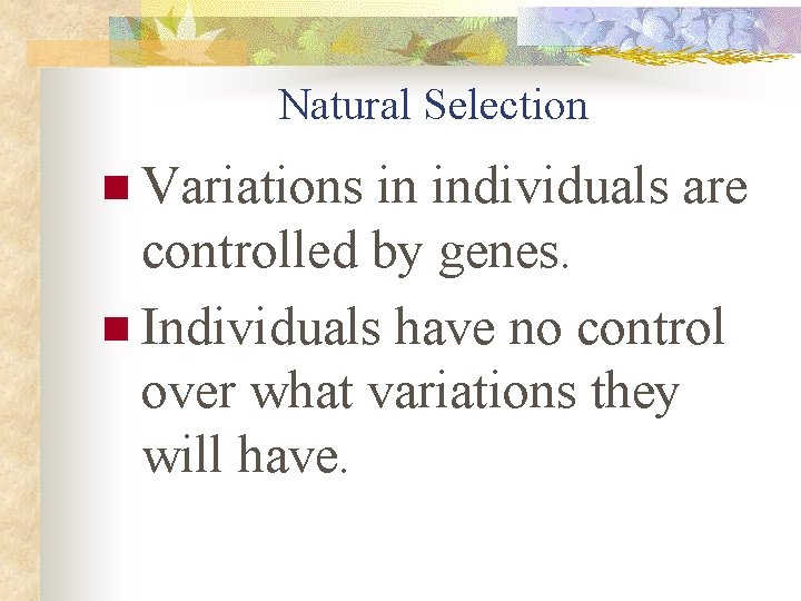 Natural Selection n Variations in individuals are controlled by genes. n Individuals have no