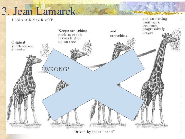 3. Jean Lamarck WRONG! 