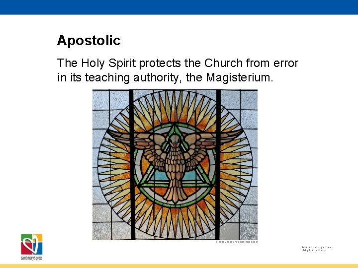 Apostolic The Holy Spirit protects the Church from error in its teaching authority, the