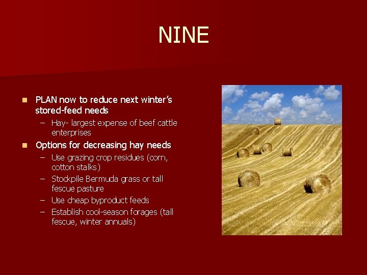 NINE n PLAN now to reduce next winter’s stored-feed needs – Hay- largest expense
