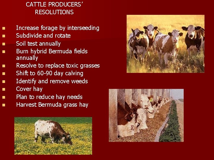 CATTLE PRODUCERS’ RESOLUTIONS n n n n n Increase forage by interseeding Subdivide and