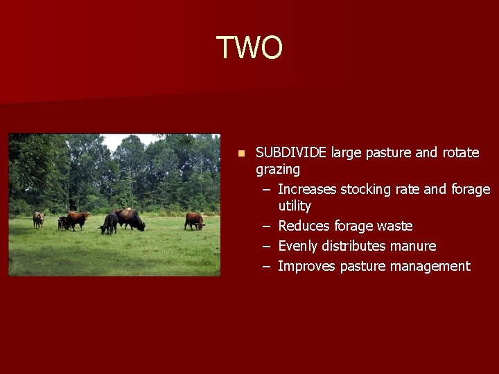 TWO n SUBDIVIDE large pasture and rotate grazing – Increases stocking rate and forage