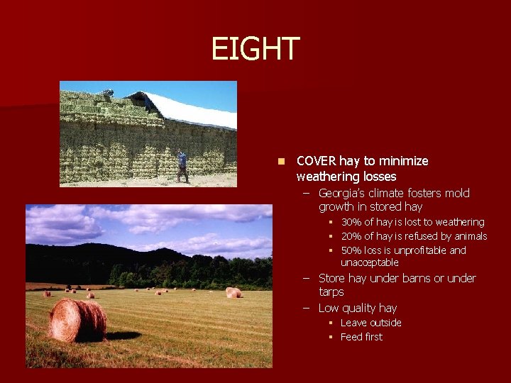 EIGHT n COVER hay to minimize weathering losses – Georgia’s climate fosters mold growth