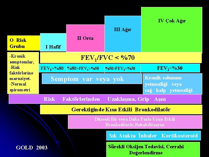 IV Çok Ağır III Ağır O Risk Grubu -Kronik semptomlar, -Risk faktörlerine maruziyet. -Normal