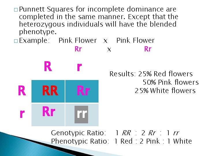 � Punnett Squares for incomplete dominance are completed in the same manner. Except that