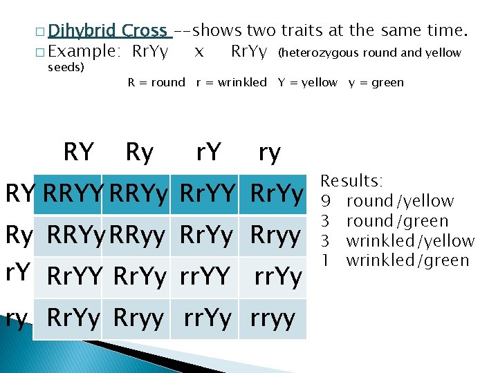 � Dihybrid Cross --shows two traits at the same time. � Example: Rr. Yy