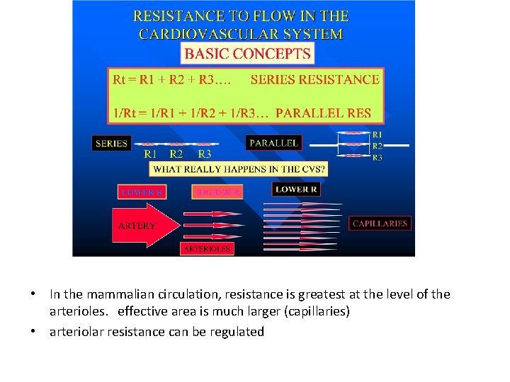 • In the mammalian circulation, resistance is greatest at the level of the • In the mammalian circulation, resistance is greatest at the level of the