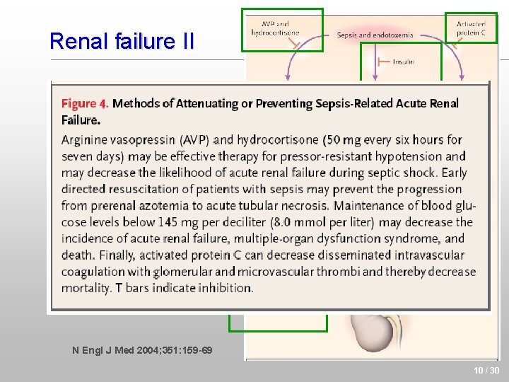 Renal failure II • Supportive Interventions may prevent acute renal failure N Engl J