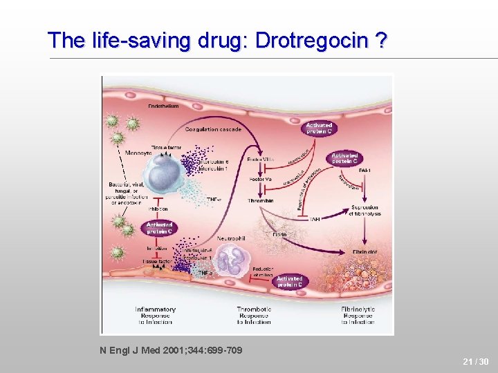 The life-saving drug: Drotregocin ? N Engl J Med 2001; 344: 699 -709 21