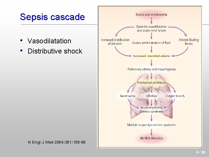 Sepsis cascade • Vasodilatation • Distributive shock N Engl J Med 2004; 351: 159