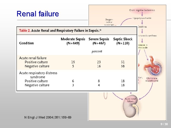 Renal failure N Engl J Med 2004; 351: 159 -69 9 / 30 