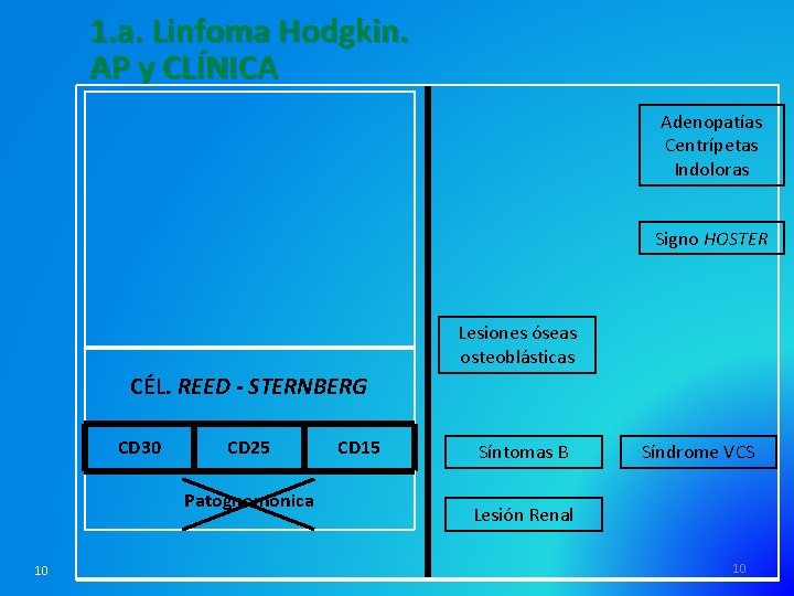 1. a. Linfoma Hodgkin. AP y CLÍNICA Adenopatías Centrípetas Indoloras Signo HOSTER Lesiones óseas