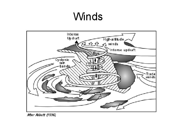 Winds 