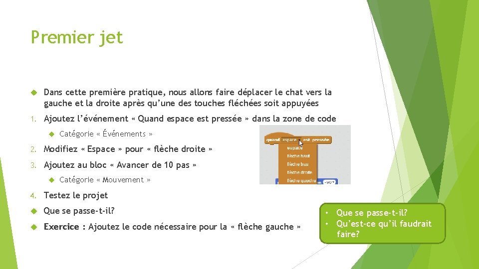 Premier jet Dans cette première pratique, nous allons faire déplacer le chat vers la
