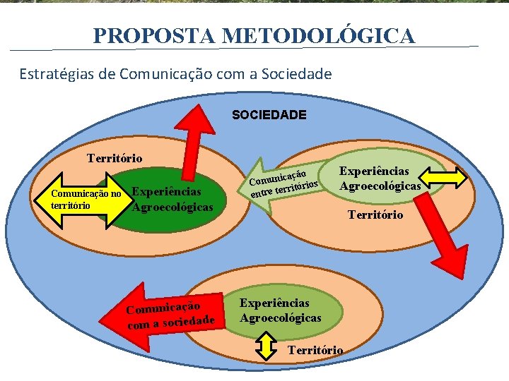 PROPOSTA METODOLÓGICA Estratégias de Comunicação com a Sociedade SOCIEDADE Território Comunicação no território Experiências