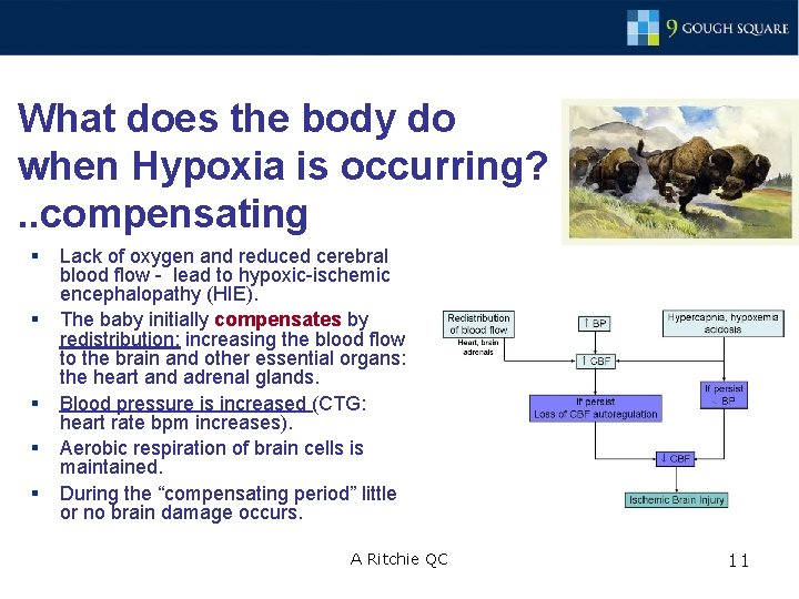 What does the body do when Hypoxia is occurring? . . compensating § §