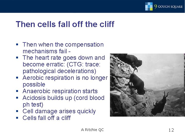 Then cells fall off the cliff § Then when the compensation mechanisms fail §