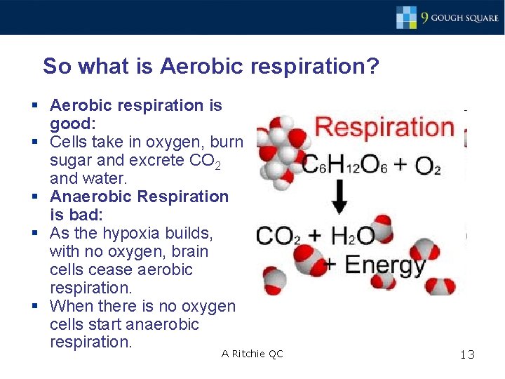 So what is Aerobic respiration? § Aerobic respiration is good: § Cells take in