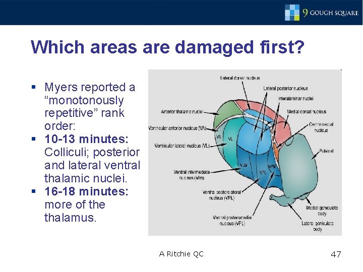 Which areas are damaged first? § Myers reported a “monotonously repetitive” rank order: §