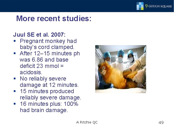 More recent studies: Juul SE et al. 2007: § Pregnant monkey had baby’s cord