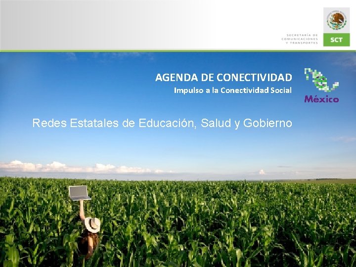 AGENDA DE CONECTIVIDAD Impulso a la Conectividad Social Redes Estatales de Educación, Salud y
