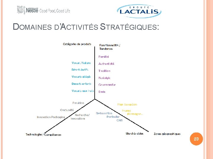 DOMAINES D’ACTIVITÉS STRATÉGIQUES: 23 