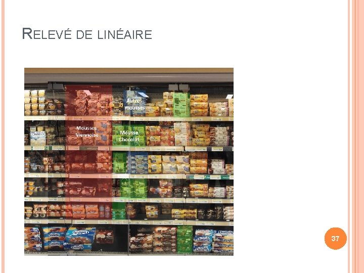 RELEVÉ DE LINÉAIRE 37 