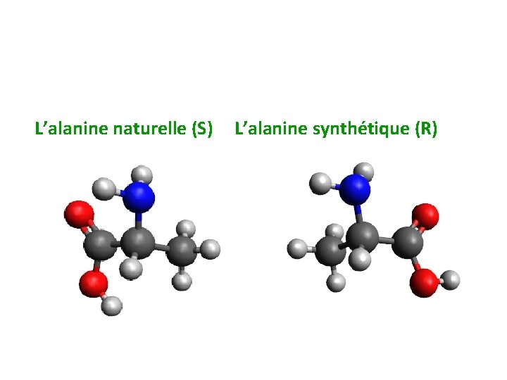 L’alanine naturelle (S) L’alanine synthétique (R) 