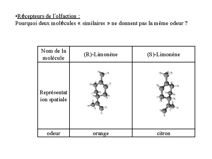  • Récepteurs de l’olfaction : Pourquoi deux molécules « similaires » ne donnent