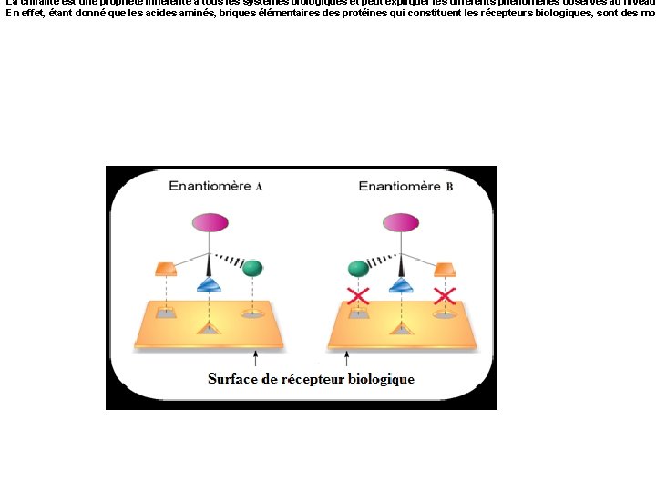 La chiralité est une propriété inhérente à tous les systèmes biologiques et peut expliquer