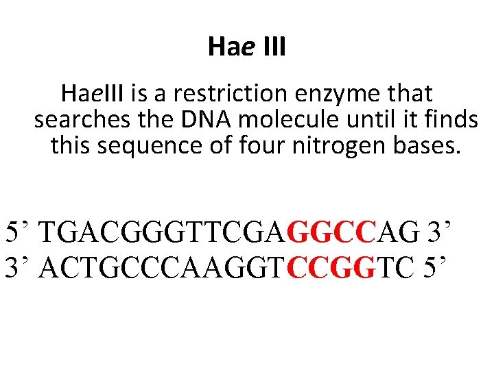 Hae III Hae. III is a restriction enzyme that searches the DNA molecule until