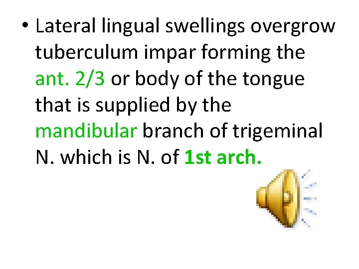  • Lateral lingual swellings overgrow tuberculum impar forming the ant. 2/3 or body