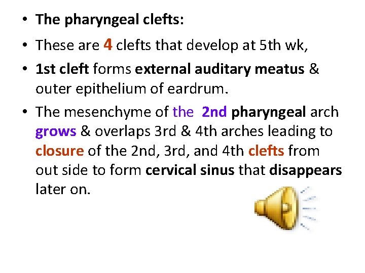  • The pharyngeal clefts: • These are 4 clefts that develop at 5