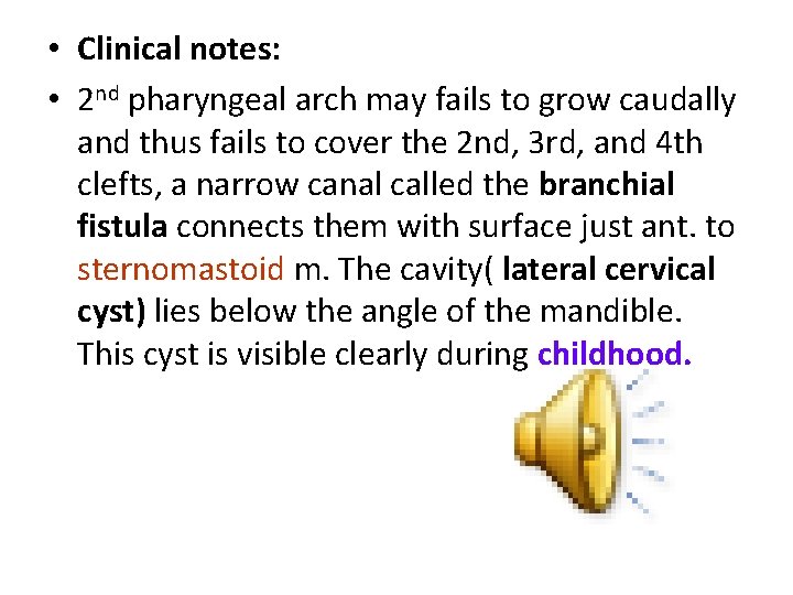  • Clinical notes: • 2 nd pharyngeal arch may fails to grow caudally