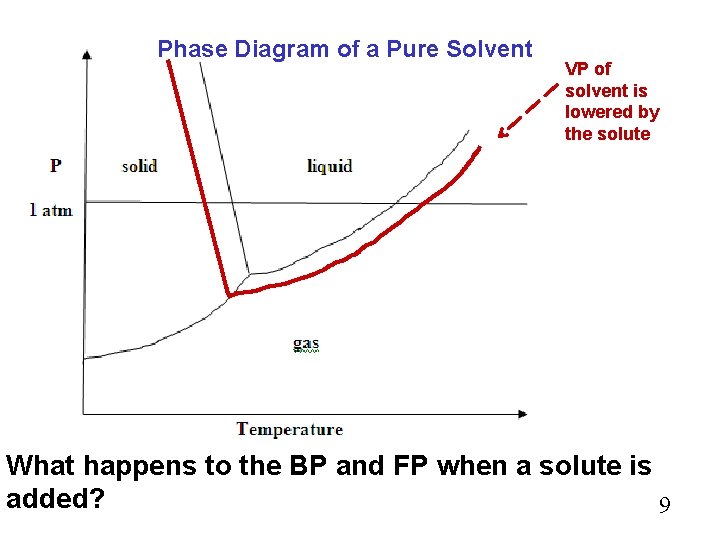 Phase Diagram of a Pure Solvent VP of solvent is lowered by the solute
