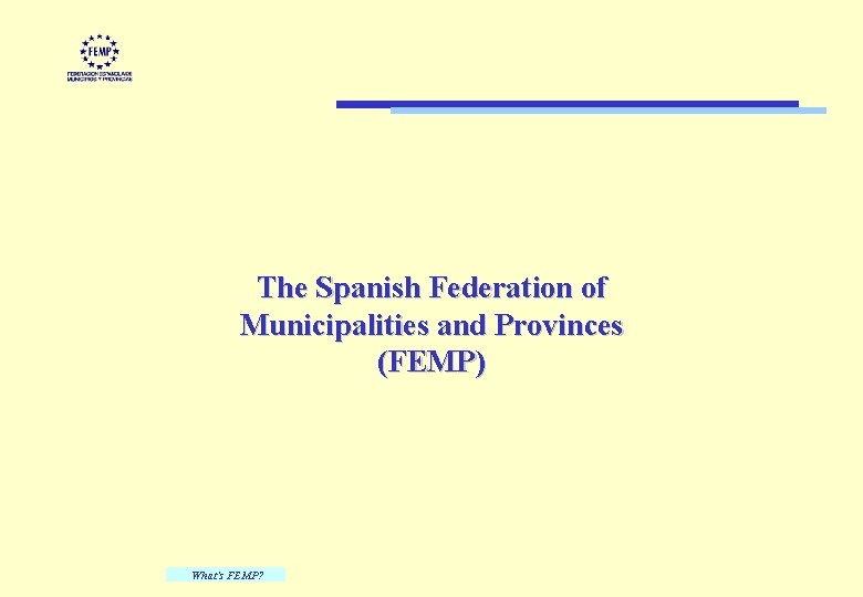 The Spanish Federation of Municipalities and Provinces (FEMP) What's FEMP? 