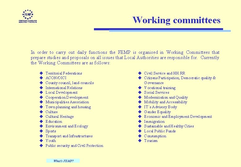 Working committees In order to carry out daily functions the FEMP is organised in