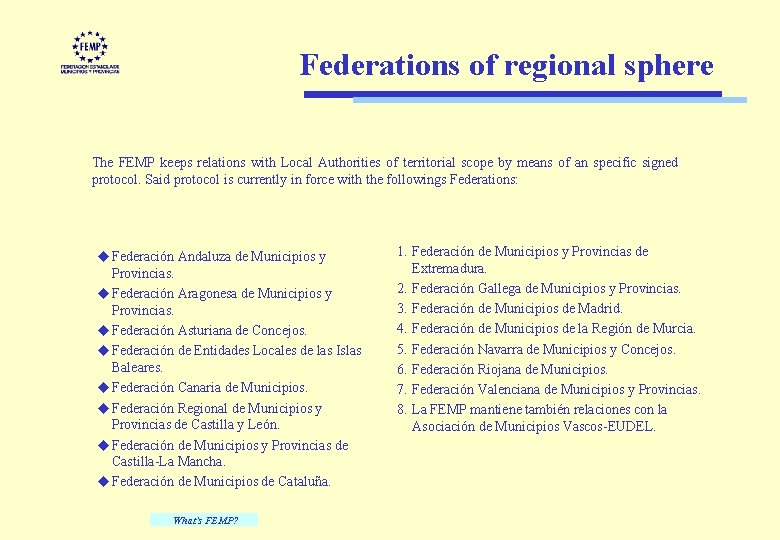 Federations of regional sphere The FEMP keeps relations with Local Authorities of territorial scope