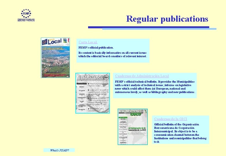 Regular publications Carta Local, FEMP´s official publication. Its content is basically informative on all